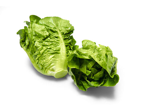 Lettuce - Mini Cos