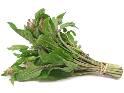 Sage (Bunch)