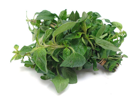 Oregano (Bunch)