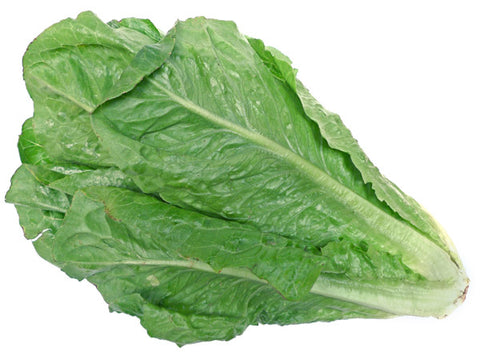 Lettuce - Cos